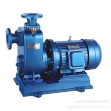ZXY型直联式自吸离心泵