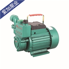 大量批发优质WZB自吸泵增压铸铁自吸泵性能无泄露价格优惠