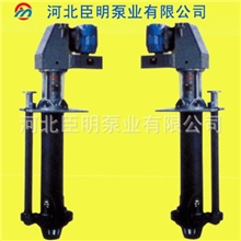 厂家直供河北臣明立式渣浆泵300TV-SP(R)液下渣浆泵