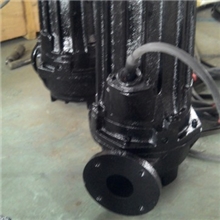AF双绞刀泵双绞刀排污泵