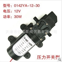 专业批发进口隔膜泵12V/24V微型电动自吸隔膜泵微型直流隔膜泵