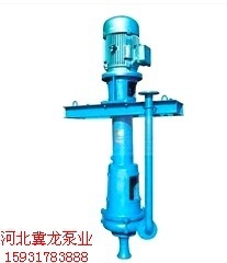 选好产品到冀龙泵业，生产立式2PNL系列型泥浆泵【价格合理】