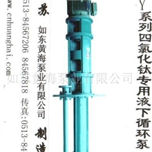 厂家直销四氯化钛专用液下循环泵合作船厂用液下泵苏东牌