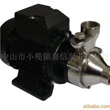 不锈钢漩涡泵DBF-45A