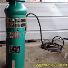 供应泵，潜水泵,水泵，喷泉泵，QS充水式水泵