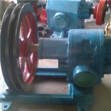 WRJ外润滑齿轮泵/涂料泵