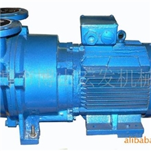 厂家直销2BV5121水环式真空泵山东博山真空泵