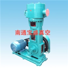 供应WLW-150B系列立式无油立式真空泵