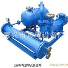 厂家批发质量保证2BW系列液环式真空泵