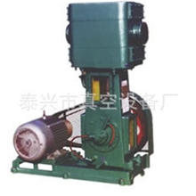 热销推荐WLW-600立式无油往复泵电动水蒸气真空泵