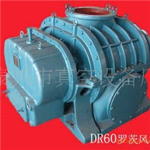 厂家批发供应罗茨真空泵鼓风机DR60罗茨鼓风机叶轮