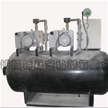 本公司生产供应各种旋片泵机组JZJX系列罗茨旋片泵机组