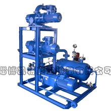 厂家专业生产水环真空泵机组