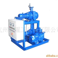 供应JZJ2B/JZJ2S型罗茨水环真空机组/罗茨往复机组/旋片机组