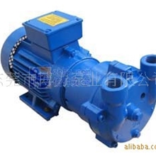 厂价批发2BV-2060真空泵，水环式真空泵，选片式真空泵及配件