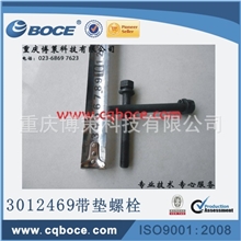 【厂家直销】3012469带垫螺栓