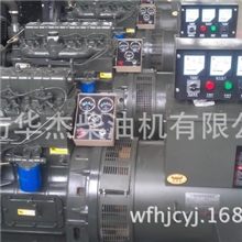 供应潍坊495-4100D30KW柴油发电机组