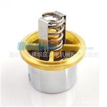 重庆康明斯3076489节温器