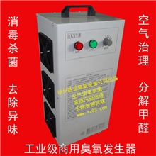 【胜亚】10g-25g移动式臭氧消毒机臭氧发生器空气治理机臭氧机