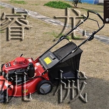 厂家供应家用草坪机曲阜草坪机草坪机价格量多更优惠