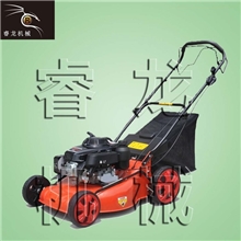 草坪机厂家长期批发手推式草坪机园林草坪机山东草坪机