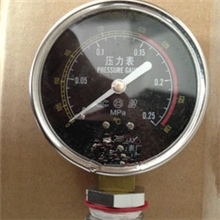 18升/24升手提式压力蒸汽灭菌器(高压灭菌锅)医用消毒锅压力表