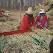 草帘编织机、草绳机、草帘编织机、稻草编帘机、编帘机