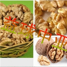 供应核桃仁专用烘干机