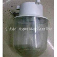 冷库专用灯，低温防爆灯，安放方便，安全性好