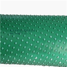 红龙牌Pvc输送带----圆点带