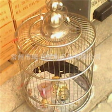 厂家生产供应不锈钢宠物鸟笼多种优质款式宠物笼可定制