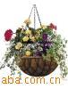 供应BF256花篮,吊花篮,铁艺花篮环保塑料藤编花篮架折叠花篮
