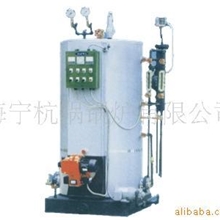 杭锅杭州振兴海宁杭锅立式燃油蒸汽锅炉