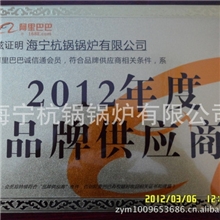 棉秆节能生物质锅炉长沙燃煤锅炉合同能源管理灰尘改造振兴锅炉