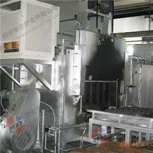 专业供应天然气台车炉