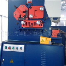 供应欧洲标准16型液压联合冲剪机