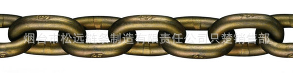 专业供应高温高强度输送用平顶链不锈钢链条非标链条