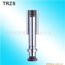 供应精密模具配件(冲头,冲针)