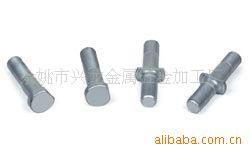 提供翡丽雅特加工