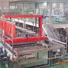 龙门式自动电镀生产线(按要求设计制作)