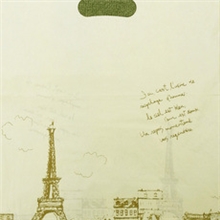 五件包邮/热卖加厚30*40CM塑料包装袋礼品手提袋铁塔服装袋子批发