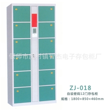 智杰100，12门自设密码电子存包柜，寄物柜，保险柜电子存包柜