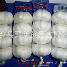 供应大蒜包装5cm大蒜4P包装