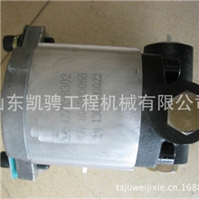 803000065转向油泵