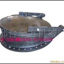 提供不锈钢拍门玻璃钢拍门尼龙钢拍门