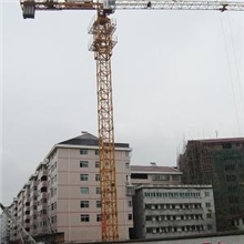 供应，预定鲁星31.5塔机，塔吊