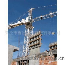 山东鲁星供应，预定鲁星QTZ40，QTZ31.5，QTZ5008塔机，塔吊