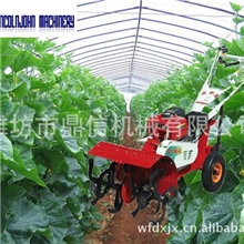 小型家用型大棚微耕机旋耕1WG-5Q果园管理整耕机