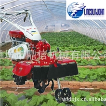 小型大棚微耕机多功能田园管理机3GT-4Q整耕机微耕机