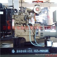 现货供应内蒙古鄂尔多斯发电机